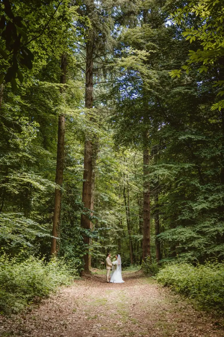 Lauren and Josh small in the distance on a tall pine forest path at Château de la Basmaignée