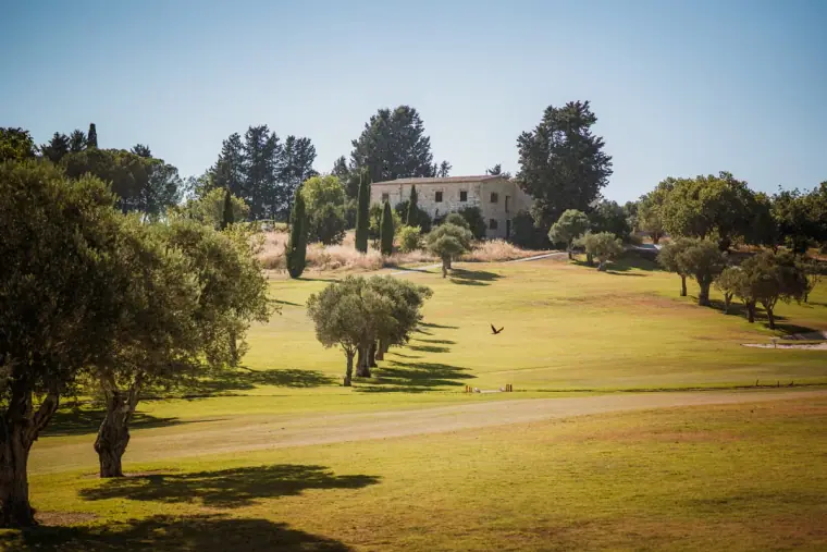 Sunlit golf course lawn dotted with olive trees and a villa at Minthis