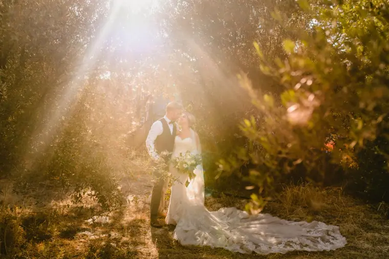 Bride and groom bathed in sunbeams streaming through olive trees