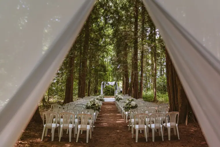 Forest ceremony aisle with white chairs and a draped arch seen through parted white curtains