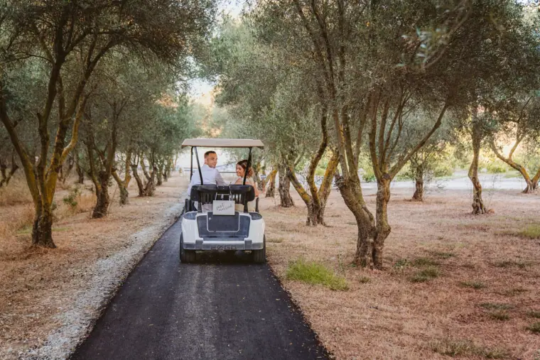 Golf buggy driving along a path through an olive grove