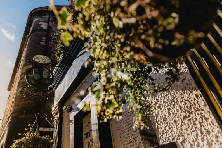 Ivy and a hanging lantern against a stone building, looking up in Edinburgh's Old Town
