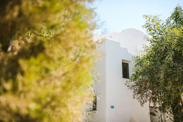 White-washed villa wall glimpsed between green trees in bright sunshine