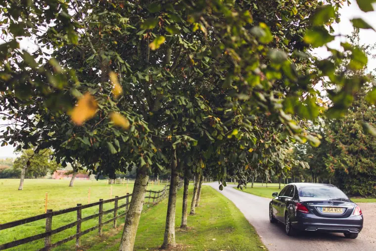Dark car driving along a tree-lined avenue beside a wooden fence, Wasing Park