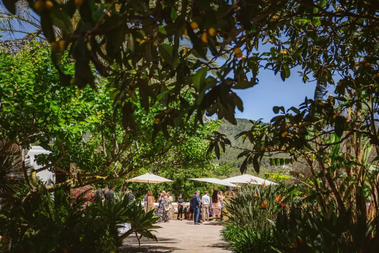 Guests gathering under parasols in the leafy gardens of Can Gall, Ibiza