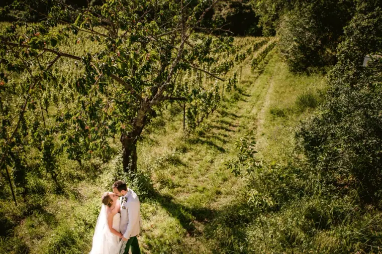 Bride and groom kissing in a sunlit grassy olive grove seen from above, Livernano Estate