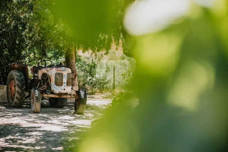 Vintage tractor parked on a sunlit lane, framed by leaves