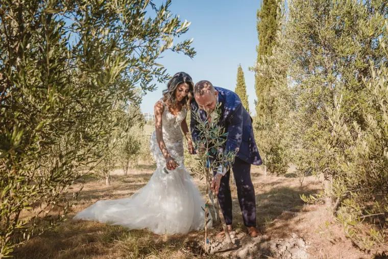 Groom kissing the bride as she leans back among olive trees