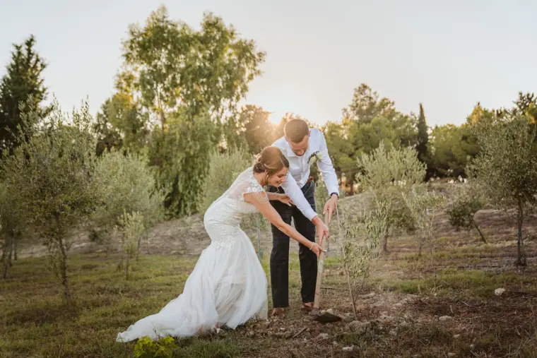 Bride and groom planting a young tree together in the olive grove