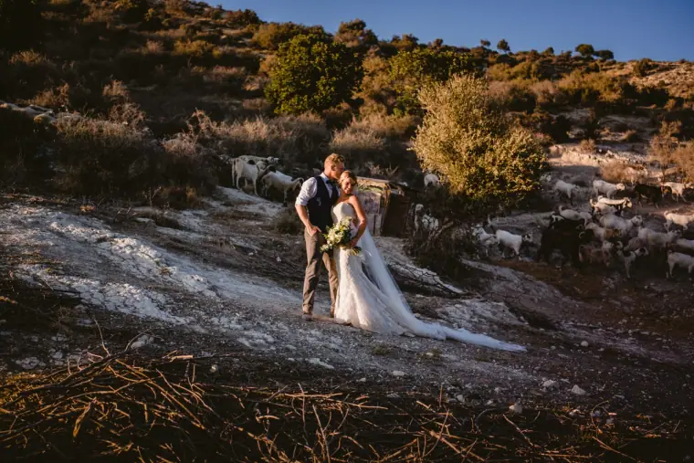Bride and groom on a rocky hillside with goats grazing nearby