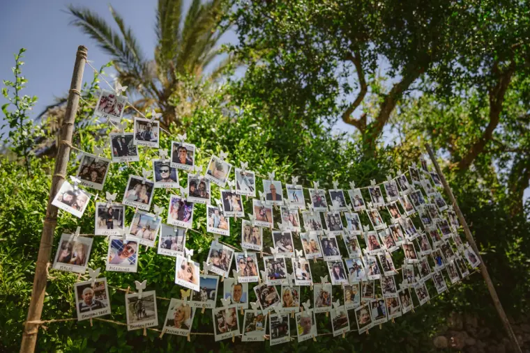 Polaroid photos pegged on strings between palm trees as a guest display