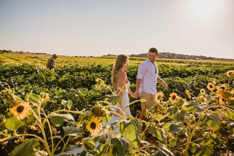 Bride and groom walking hand in hand through a sunflower field