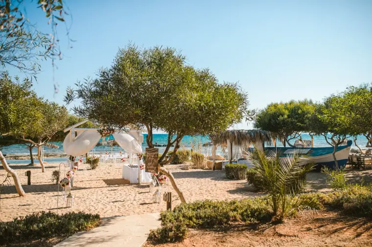 Beach ceremony set-up among pine trees beside the sea at Thalassines Beach Villas