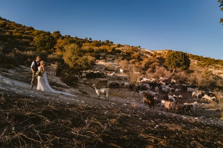 Couple standing on a sunlit hillside above a grazing herd of goats