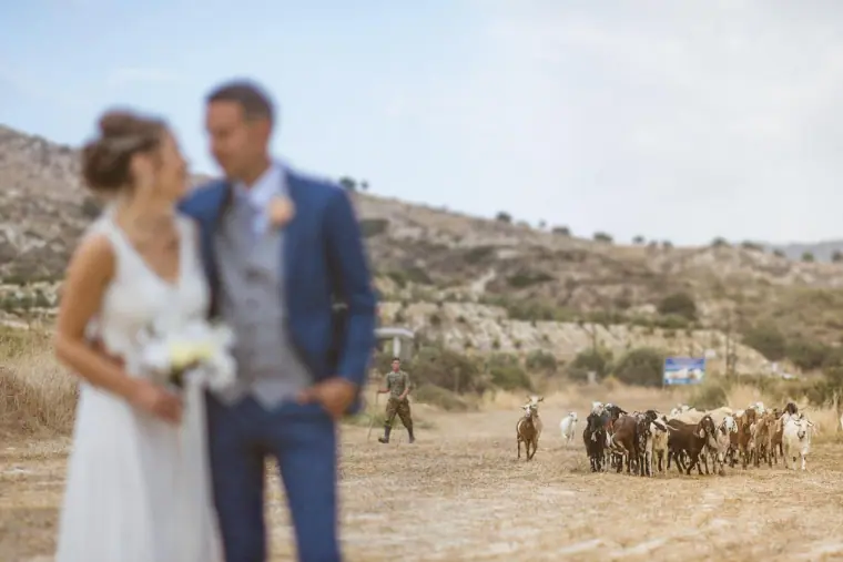 Bride holding her bouquet beside the groom as goats wander past in the hills