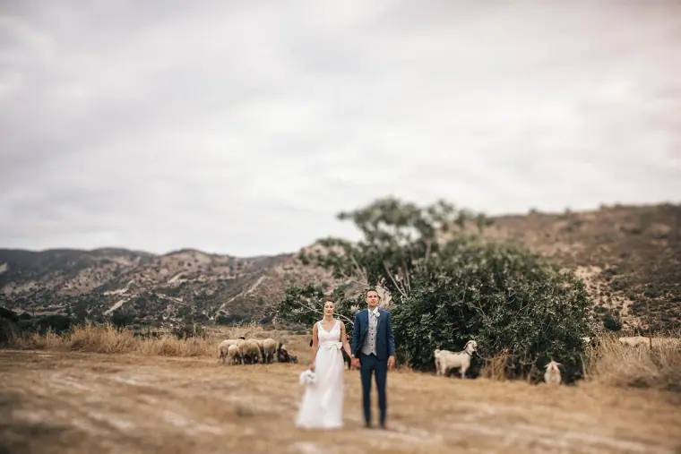 Small figures of the bride and groom in a wide landscape of hills and grazing goats
