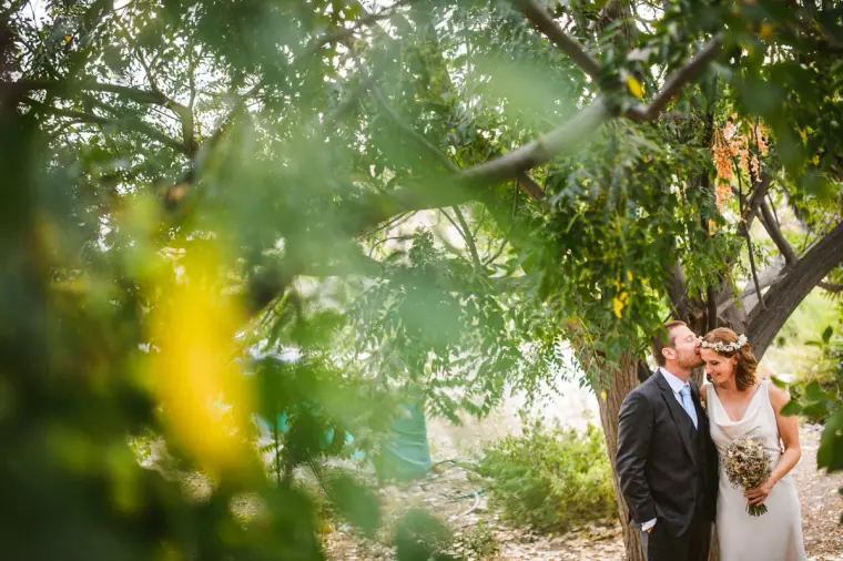 Bride and groom kissing beneath an olive tree, seen through foliage
