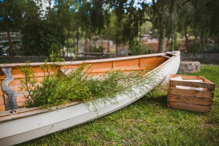 Old wooden boat planted with greenery on the lawn