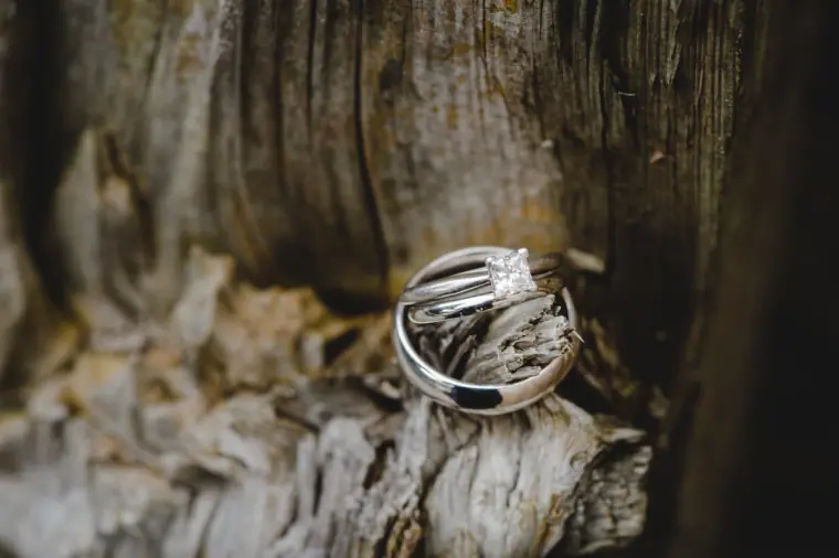 Wedding and engagement rings resting on a piece of old bark