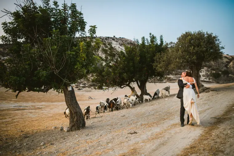 Bride and groom embracing beneath a carob tree as goats pass along the track