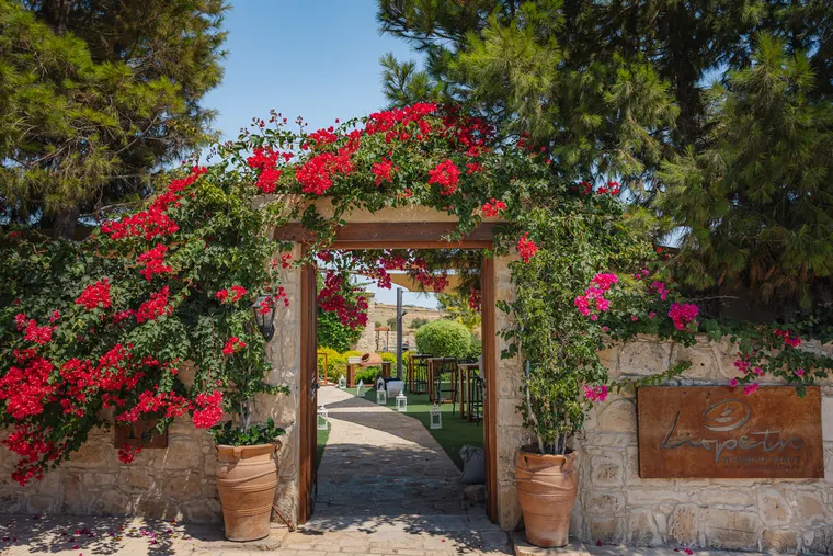 Bougainvillea-covered entrance arch with the venue sign at Liopetro, Kouklia