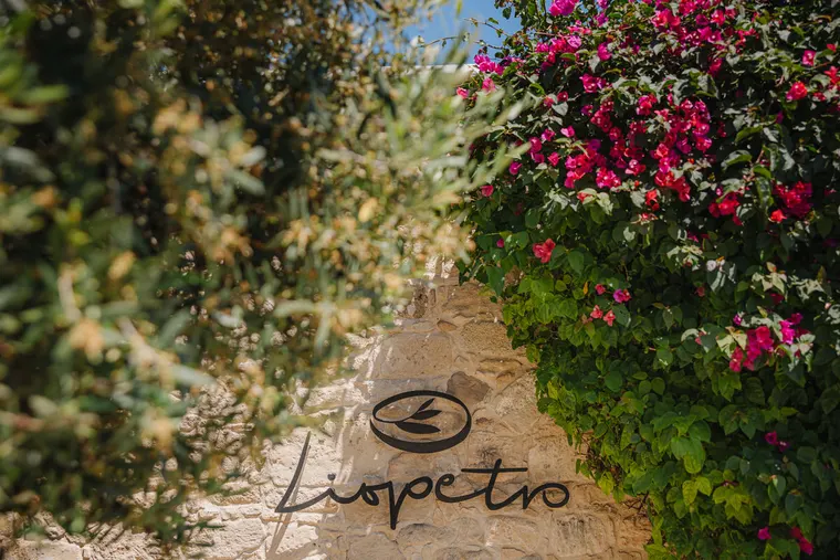 Liopetro sign on a stone wall framed by pink bougainvillea, Kouklia